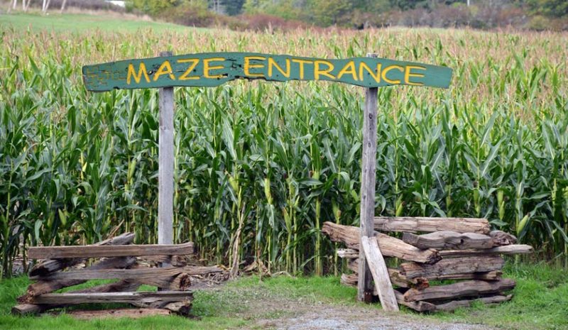 maze-entrance-w840h840-w840h840